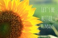 Inspirational motivational quote - Lets be better humans. With beautiful sunflower closeup on a green background.