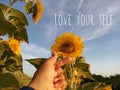 Inspirational motivational quote - Love your self. With Korean love sign hand gesture on sunflower and bright blue sky background. Royalty Free Stock Photo