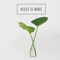 Inspirational Motivational quote `Less is more`
