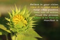 Inspirational quote- Trust the porcess, with baby young sunflower blooming as illustration. Royalty Free Stock Photo