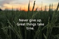 Inspirational motivational quote-never give up. Great things take time. With green paddy field and colorful sky at sunset time as