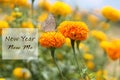 Inspirational motivational quote - New year, new me. With butterfly on yellow marigold flower in the garden background. Royalty Free Stock Photo