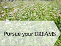 inspirational and motivational quote of pursue your dream with green color background. Stock photo.