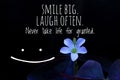 Inspirational motivational quote - Smile big. Laugh often. Never take life for granted. With little purple flower blossom.