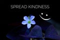 Inspirational motivational quote - Spread kindness. With a beautiful single flower blooming on black background with a smile.