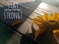 Inspirational motivational quote - Stay strong. With a sunflower blossom and its petals on wooden table and the light shadow. Royalty Free Stock Photo