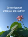 Life inspirational motivational quote - Surround yourself with peace and positivity. With pink lotus plant on blue sky background.