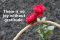 Inspirational quote - There is no joy without gratitude. With bouquet of red roses on in wooden basket on black background.