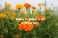 Inspirational motivational quote - Today is going to be a great day. With blurry image of beautiful marigold flowers blossom in Royalty Free Stock Photo