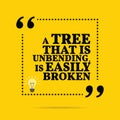 Inspirational motivational quote. A tree that is unbending, is e Royalty Free Stock Photo