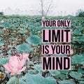 Inspirational Motivational quote `your only limit is your mind.` on water lily pond