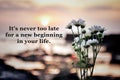 Inspirational motivational words - It is never too late for a new beginning in your life. With daisy flowers on sunset background