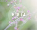 Inspirational and moyivation quote on blurred grass flower background background
