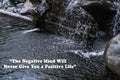 Inspirational phrase - The negative mind will never give you a positive life. With a part of fish pond as the background