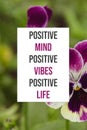 Inspirational poster Positive mind positive vibes positive life Royalty Free Stock Photo