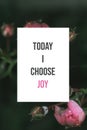 Inspirational poster Today I choose joy Royalty Free Stock Photo