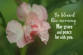 Inspirational quote - Be blessed this morning. May grace and peace be with you. With beautiful pink impatiens balsamic flower. Royalty Free Stock Photo