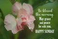 Inspirational quote - Be blessed this morning. May grace and peace be with you. With beautiful pink impatiens balsamina flower.