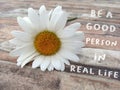 Inspirational quote - Be a good person in real life. Kindness motivational words concept on with white daisy flower, Royalty Free Stock Photo