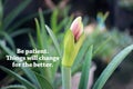 Inspirational quote - Be patient. Things will change for the better. With bud plant of purple lily flower blooming in the garden.