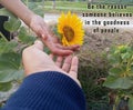 Inspirational quote - Be the reason someone believes in the goodness of people. With two human hands touch sunflower blossom. Royalty Free Stock Photo
