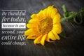 Inspirational quote - Be thankful for today. Because in one second, your entire life could change. Sunflower in black background. Royalty Free Stock Photo