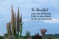 Inspirational quote - Be thankful, you are blessed. Life is too short to be so stressed. On spring flower background of cockscomb.