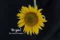 Inspirational quote - Be you. The world will adjust. With sunflower blossom on black background. Words of wisdom concept. Royalty Free Stock Photo