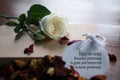 Inspirational quote - Enjoy life today because yesterday is gone and tomorrow is never promised. With petals and white rose.