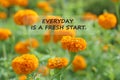 Inspirational quote - Every day is a fresh start. Motivational words concept on nature background of orange marigold flowers Royalty Free Stock Photo
