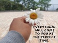 Inspirational quote - Everything will come to you at the perfect time. With person holding white daisy flower in hand.