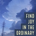 Inspirational quote `Find joy in the ordinary`