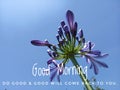 Inspirational quote - Good morning. Do good & good will come back to you. With beautiful purple tulip flowers head blossom on