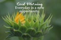 Inspirational quote - Good morning. Everyday is a new opportunity. With Big young sunflower head petals closeup ready to bloom. Royalty Free Stock Photo