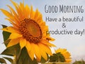 Inspirational quote - good morning. Have a beautiful and productive day. With background of blue sky, beautiful big sunflower Royalty Free Stock Photo