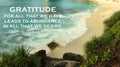 Inspirational quote - Gratitude for all that we have leads to abundance in all that we desire. Gratefulness and happiness concept.