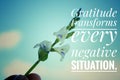 Inspirational quote - Gratitude transforms every negative situation. With flower plant background against bright clear blue sky. Royalty Free Stock Photo