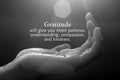 Inspirational quote - Gratitude will give you more patience, understanding, compassion, and kindness. With open palm hand