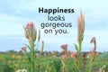 Inspirational quote - Happiness looks gorgeous on you. On background of beautiful pink chicken cockscomb flowers blossom in field