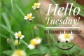 Inspirational quote - Hello Tuesday. Be thankful for today. With beautiful wild grass flowers blossom and smiling face emoticon.