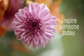 Inspirational quote - Inspire someone today. Motivational words concept on close up of pink dahlia flower background