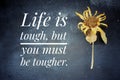 Inspirational quote - Life is tough, but you must be tougher. Motivational words concept with  text message on blackboard. Royalty Free Stock Photo