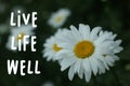 Inspirational quote - Live life well. Positive life and happiness concept with nature flower plant.