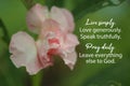 Inspirational quote - Live simply. Love generously. Speak truthfully. Pray daily. Leave everything else to God. Royalty Free Stock Photo