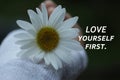 Inspirational quote - Love yourself first. On floral background of white daisy flower in hand. Self love and care concept. Healing Royalty Free Stock Photo