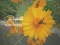 Inspirational quote - Radiate kindness. With yellow spring flower and a bee. Flower background with positive kindness message. Royalty Free Stock Photo