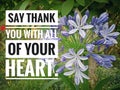 Inspirational quote - Say thank you with all of your heart. With blue flowers blooming in the garden. Thank you card with nature. Royalty Free Stock Photo