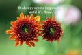 Inspirational quote - It always seems impossible until it is done. Success successful motivational words concept with flower.