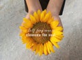 Inspirational quote - Self forgiveness cleanses the soul. With background of sunflower blossom in open hands. Forgiving words. Royalty Free Stock Photo