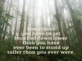 Inspirational quote - Sometimes you have to get knocked down lower than you have ever been to stand up taller than you ever were.